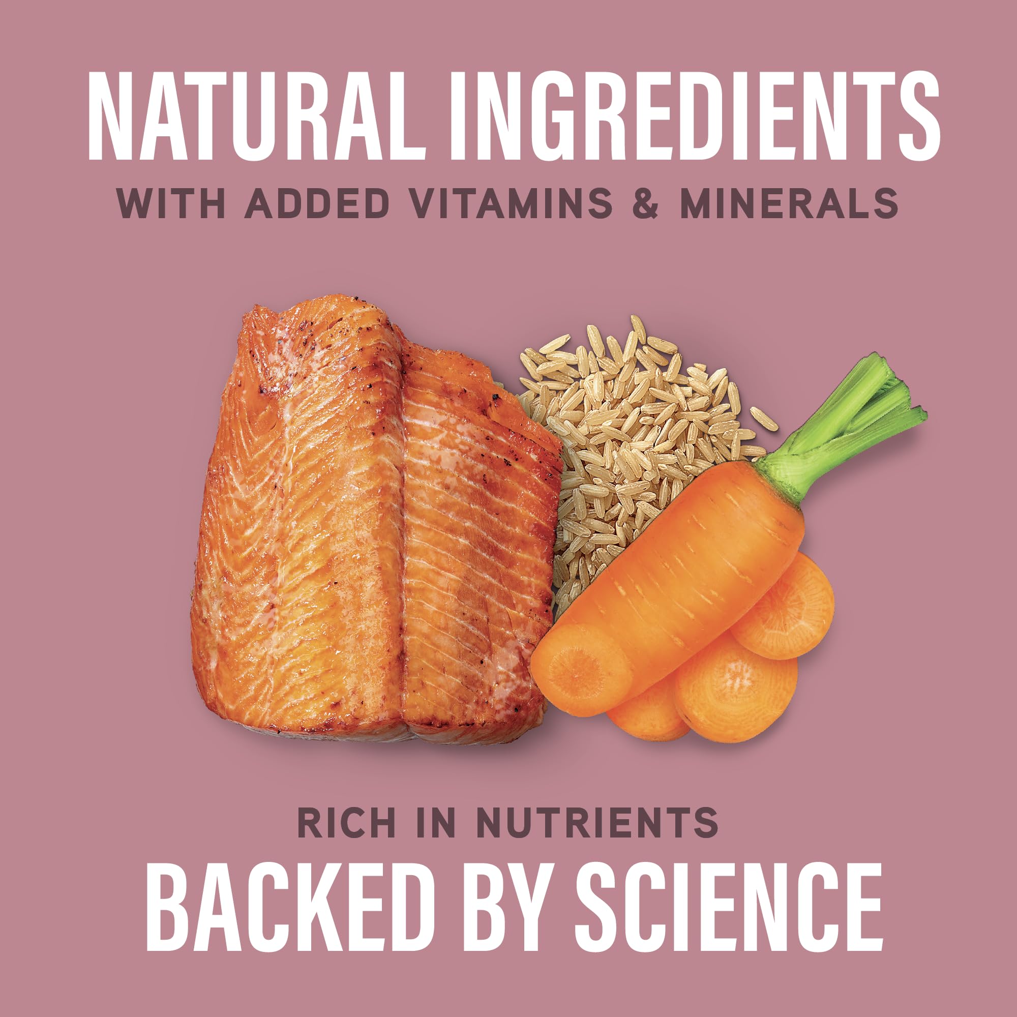 Natural Balance Skin Coat Health features real salmon and healthy fats.
