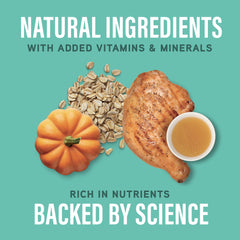 Natural Balance Specialized dog food ingredients chicken oatmeal supporting gut-friendly nutrition