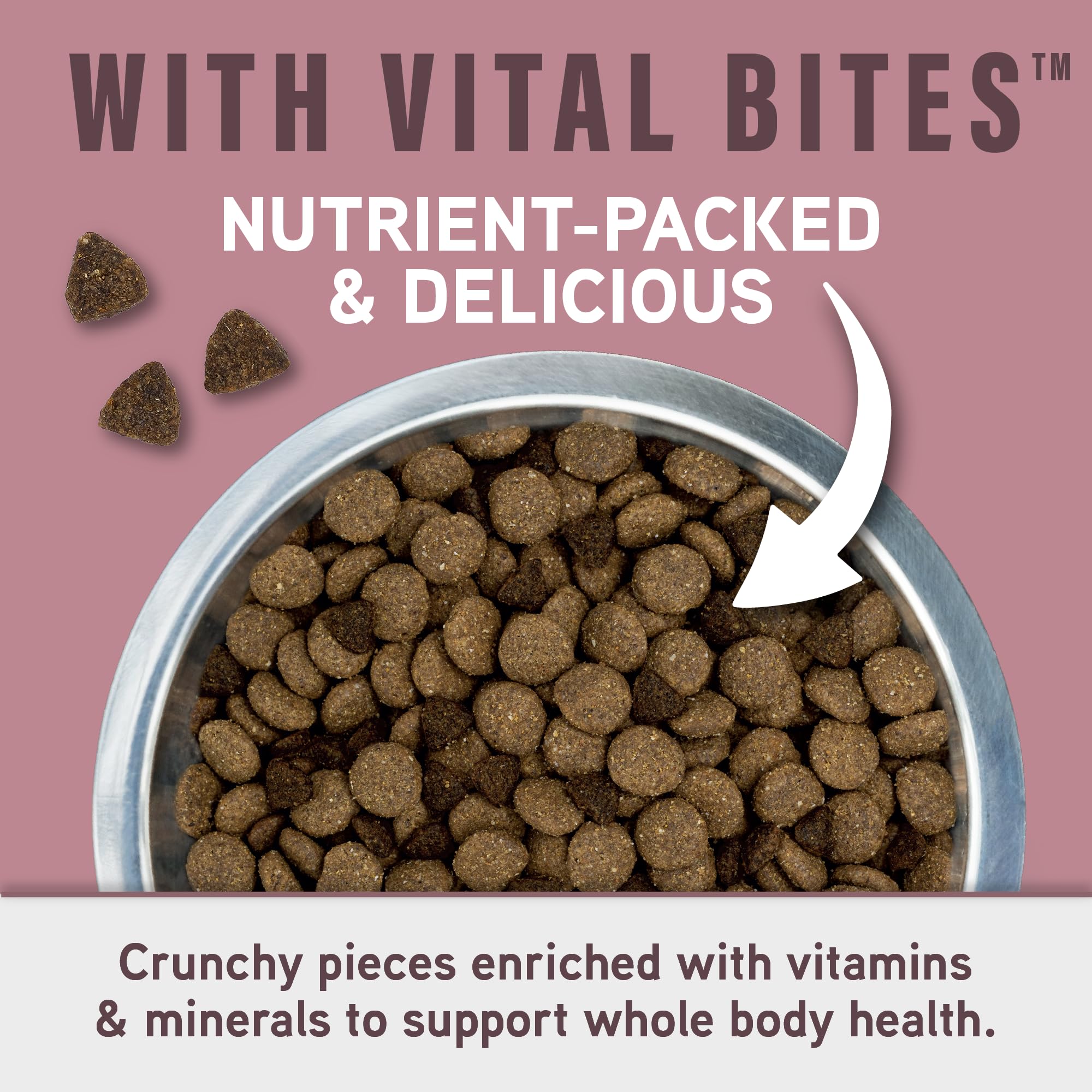 Natural Balance Specialized Nutrition kibble close-up, with healthy fats and flaxseed
