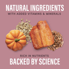 Natural Balance Specialized Nutrition stomach-support formula with oatmeal and pumpkin