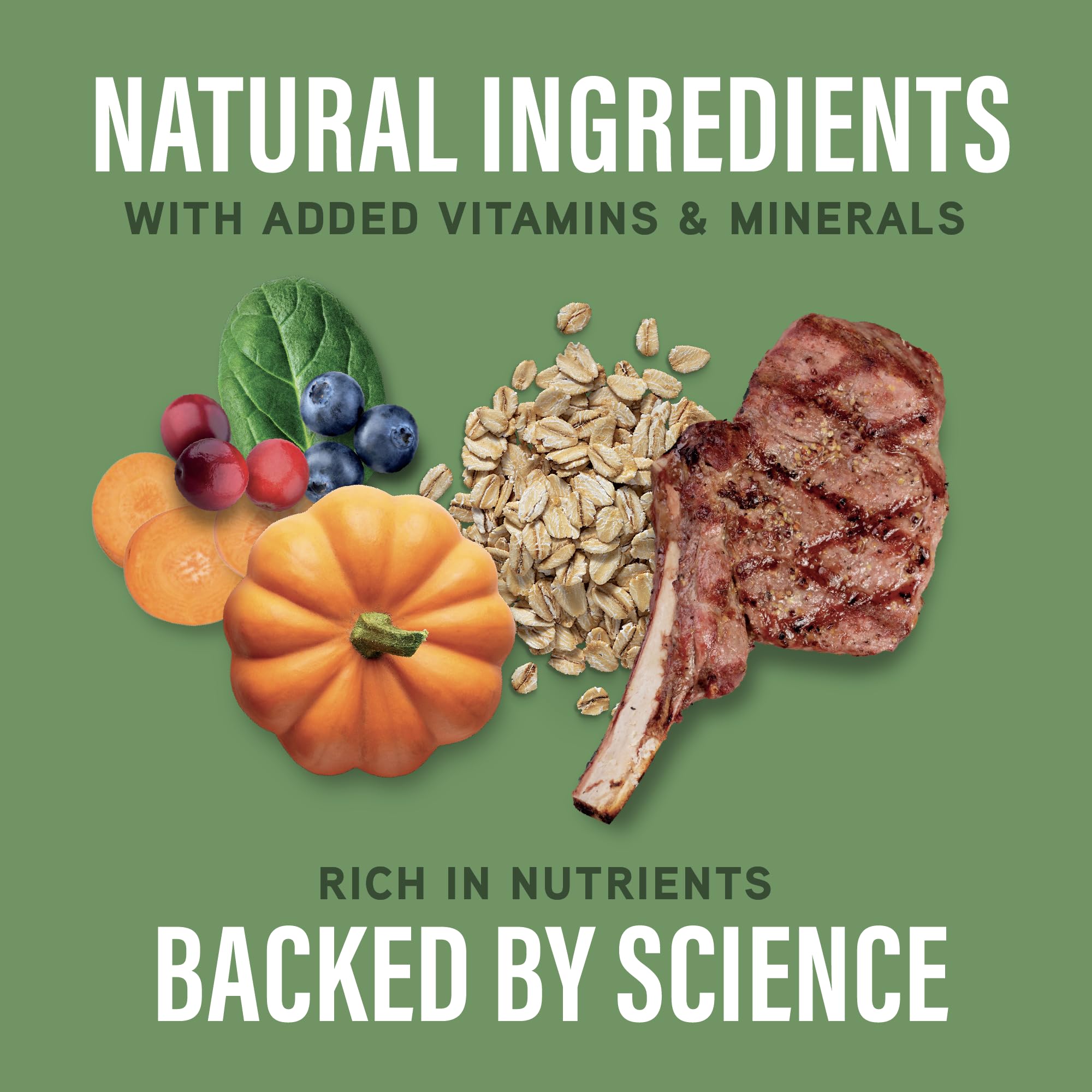 Natural Balance Vital Bites piece displays vitamins and minerals for overall wellness.
