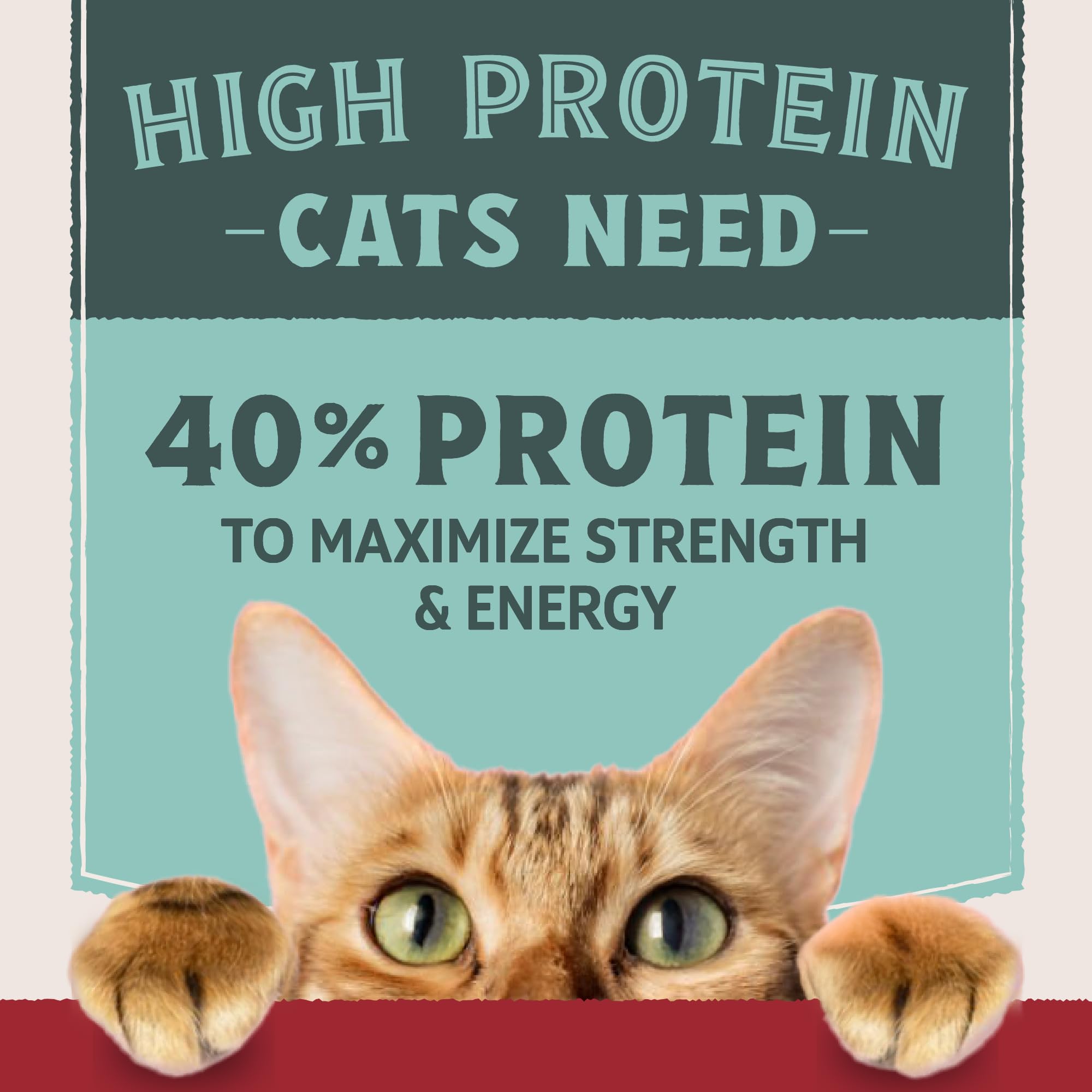 Natural Balance Ultra Protein grain-free formula image shows no corn wheat or soy