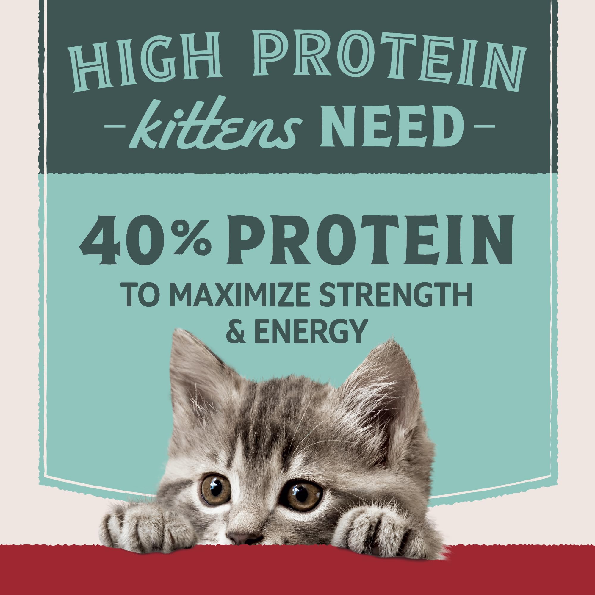 Natural Balance Ultra Protein Kitten grain-free formula avoids corn, wheat, and soy.