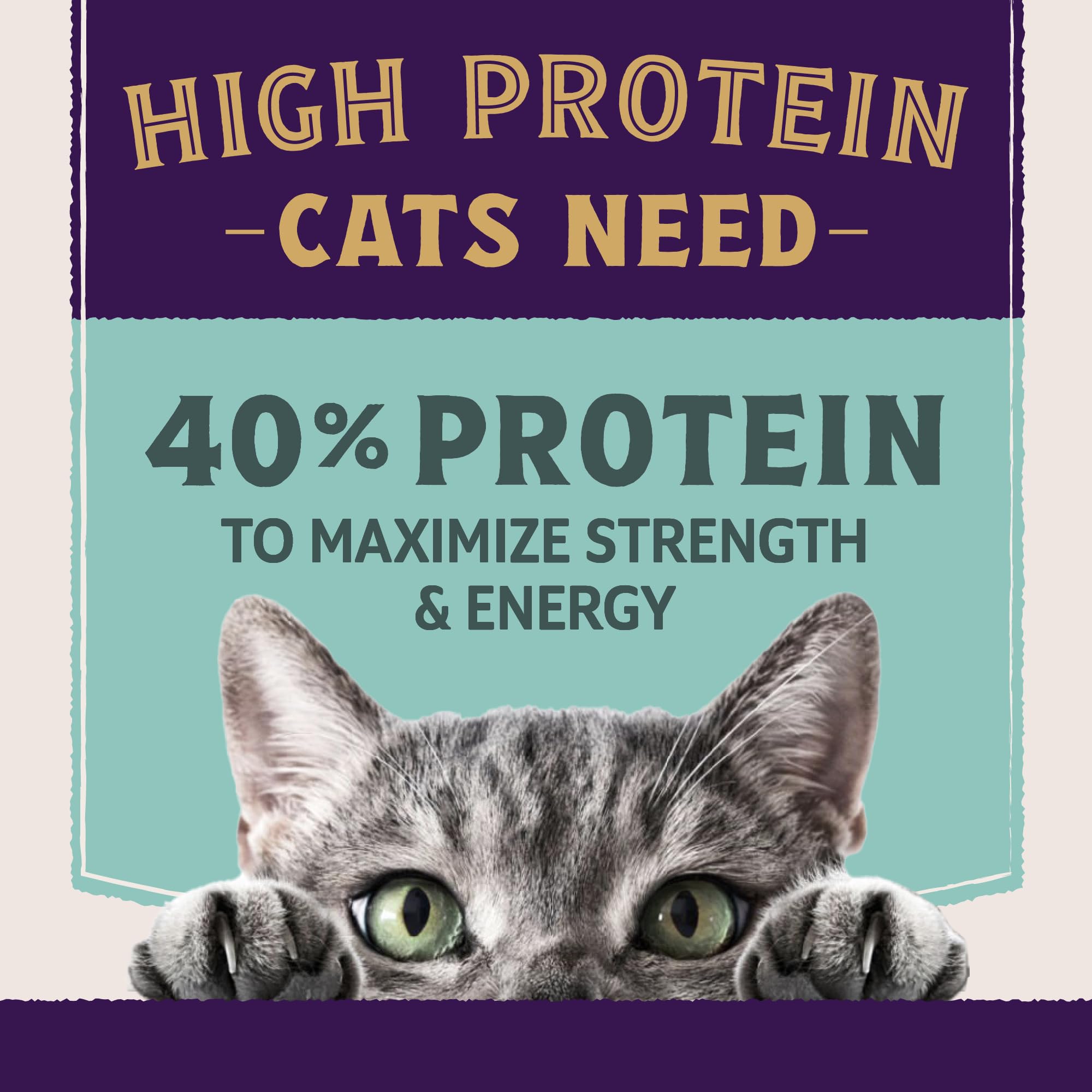 Natural Balance Ultra Protein Plus real chicken liver visual emphasizes protein-rich bite.