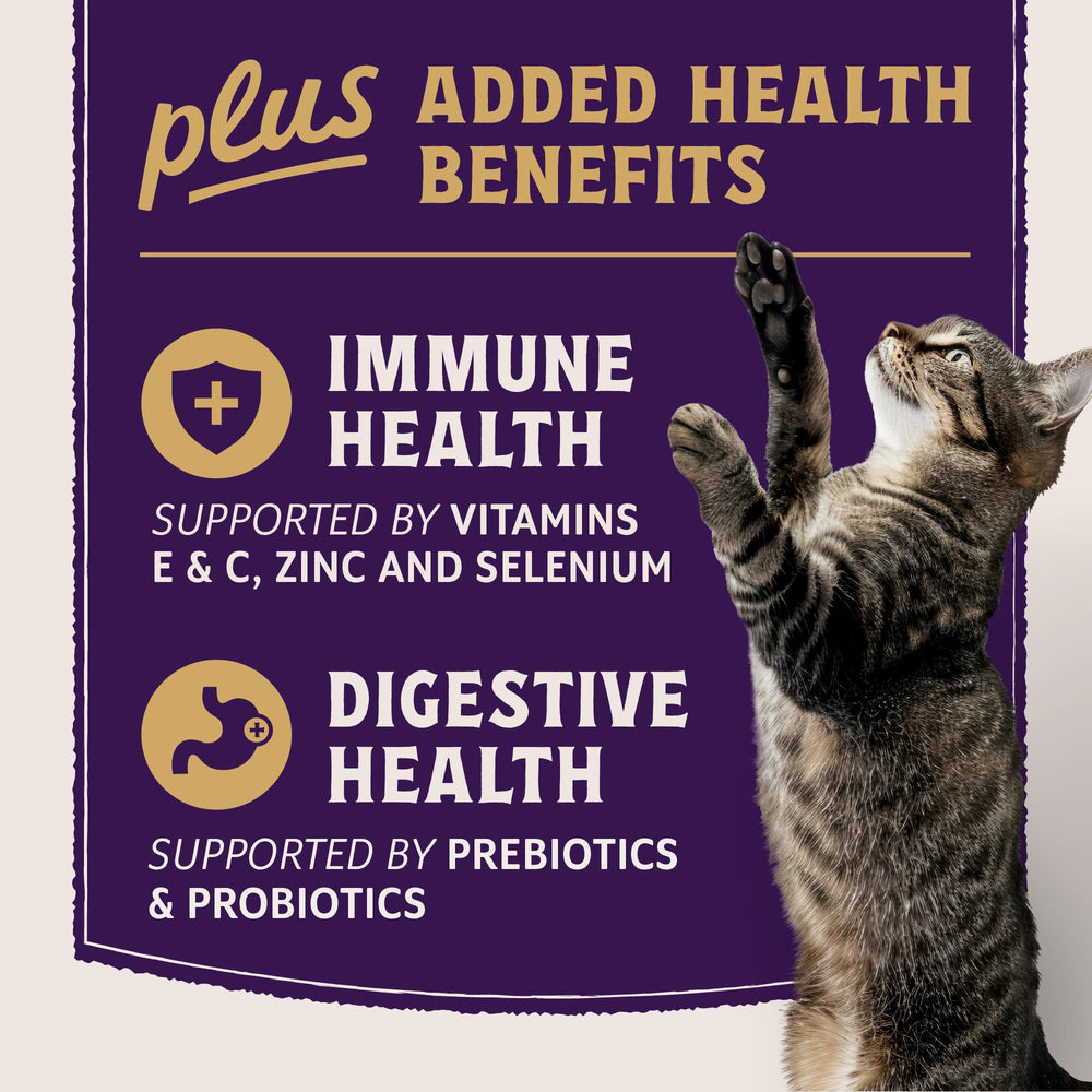 Immune health focus in Natural Balance Ultra Protein Plus with essential nutrients.