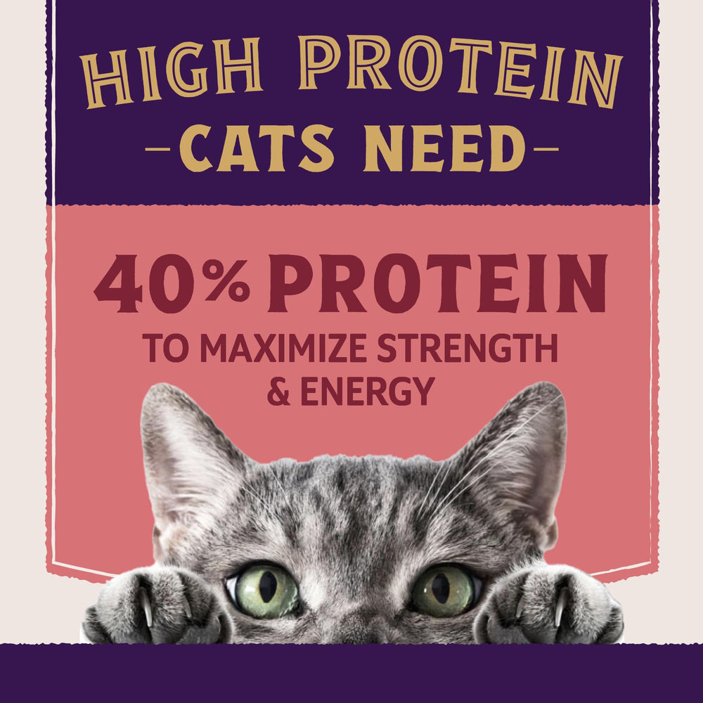 Natural Balance Ultra Protein Plus offers premium taste from real meat ingredients for picky eaters.