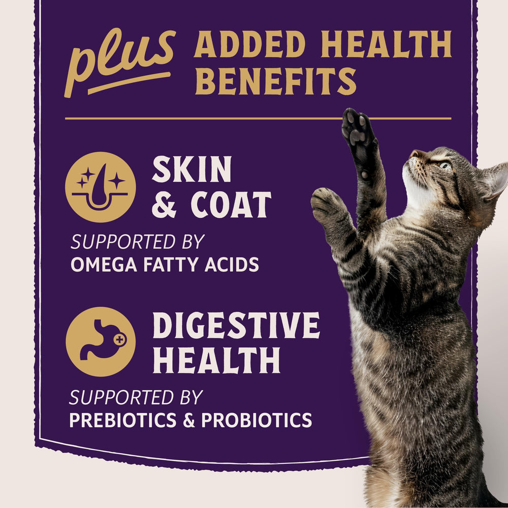 Natural Balance Ultra Protein Plus skin-coat-nutrients highlights omega fatty acids and vitamin e.