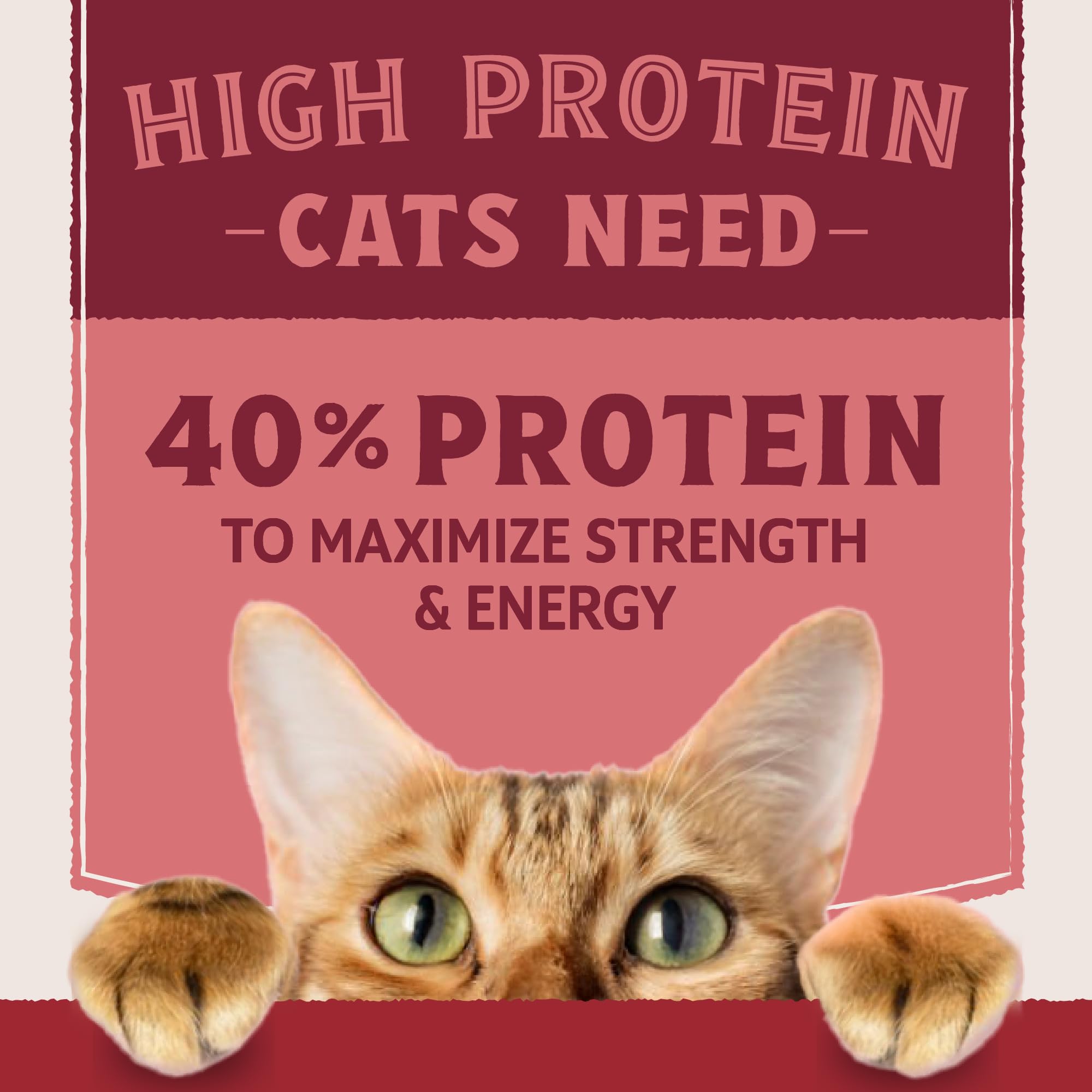 Natural Balance Ultra Protein offers premium taste for picky cats.