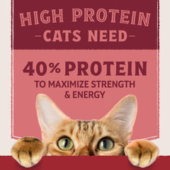 Natural Balance Ultra Protein offers premium taste for picky cats.