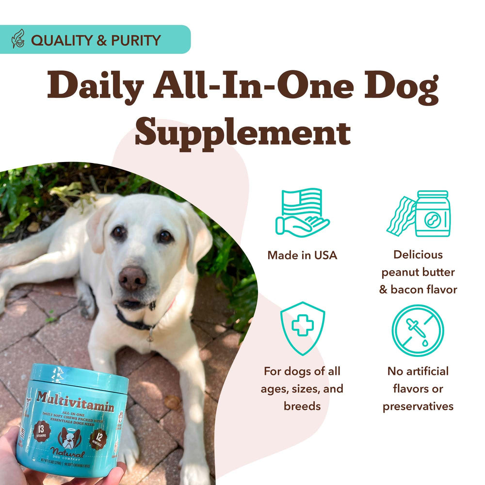 Natural Dog Company 25-in-1 joint-nourishment chews with visible texture for mobility support.