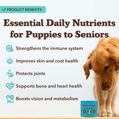 Natural Dog Company 25-in-1 soft chews closeup highlighting palatable texture