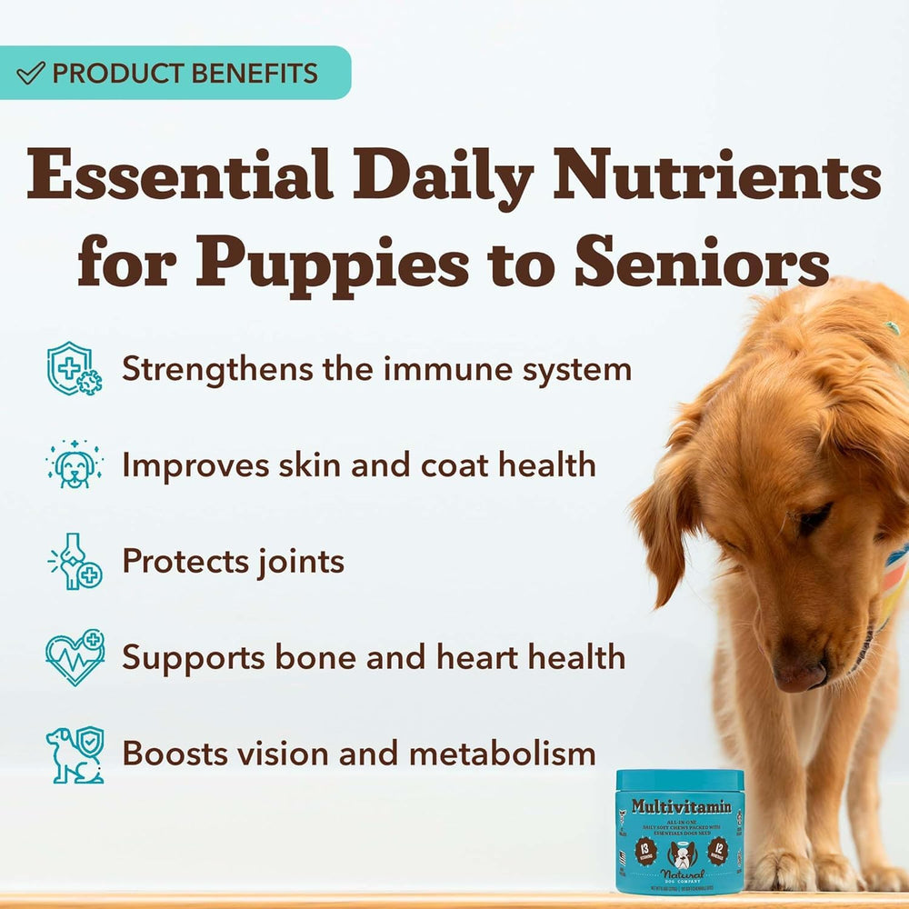 Natural Dog Company 25-in-1 soft chews serving suggestion as a tasty treat