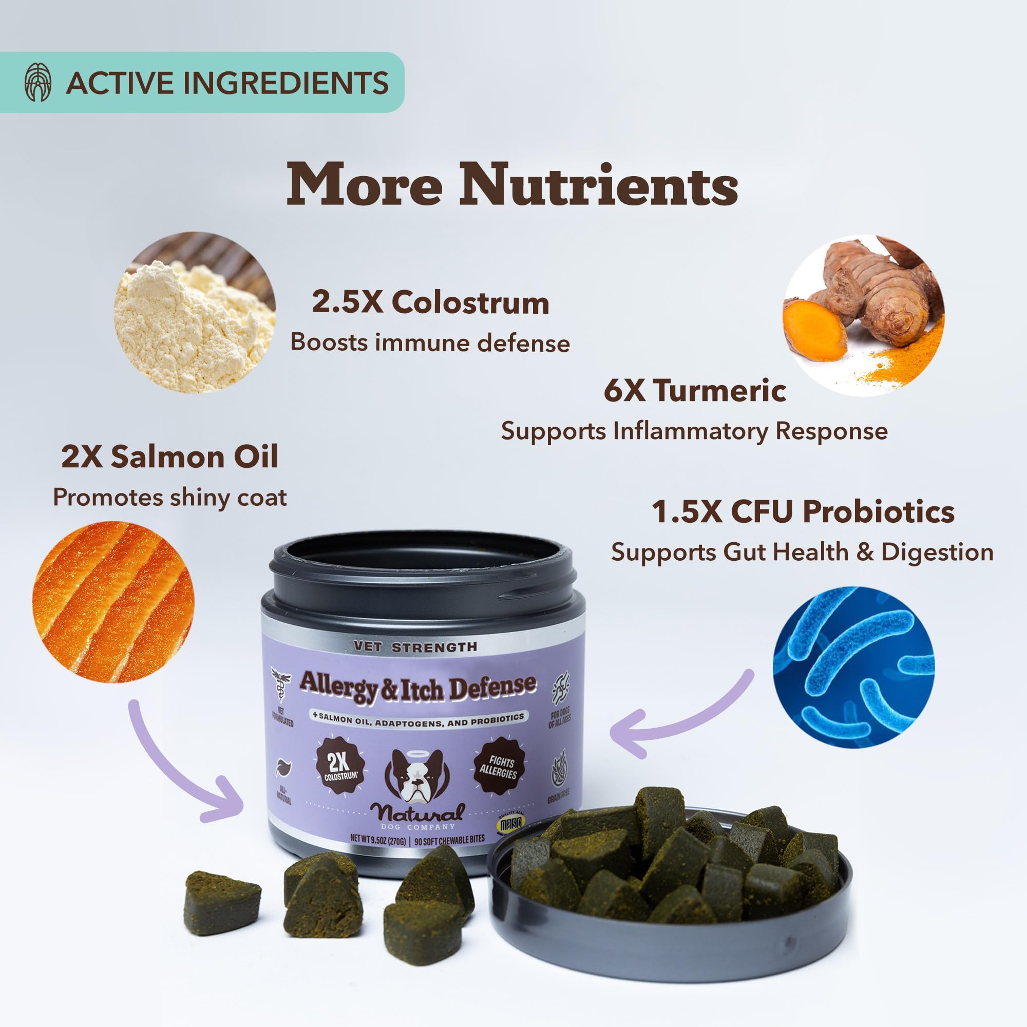 Natural Dog Company Allergy Chews dog-happy portrait suggesting seasonal comfort
