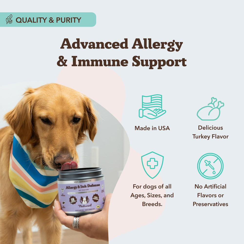 Natural Dog Company Allergy Chews ingredients visual featuring salmon oil and colostrum