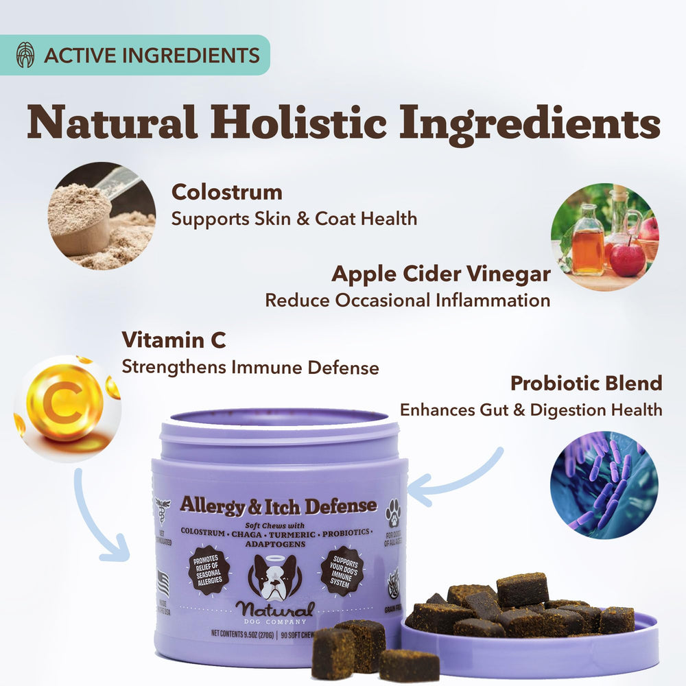 Natural Dog Company Allergy & Itch Defense Chews given to dog after activity for skin support