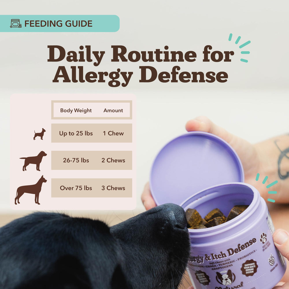 Natural Dog Company Allergy & Itch Defense Chews packaging emphasizing product quality