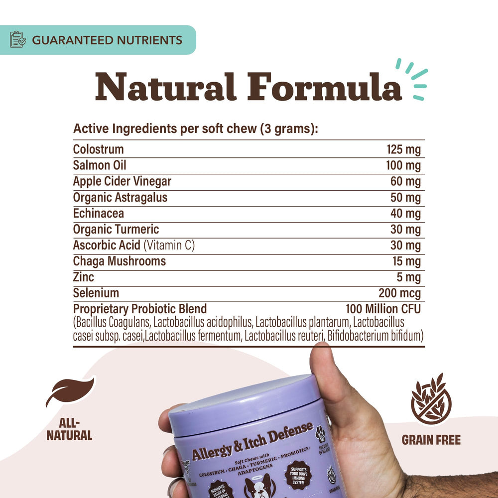 Natural Dog Company Allergy & Itch Defense Chews with salmon oil for a shiny coat