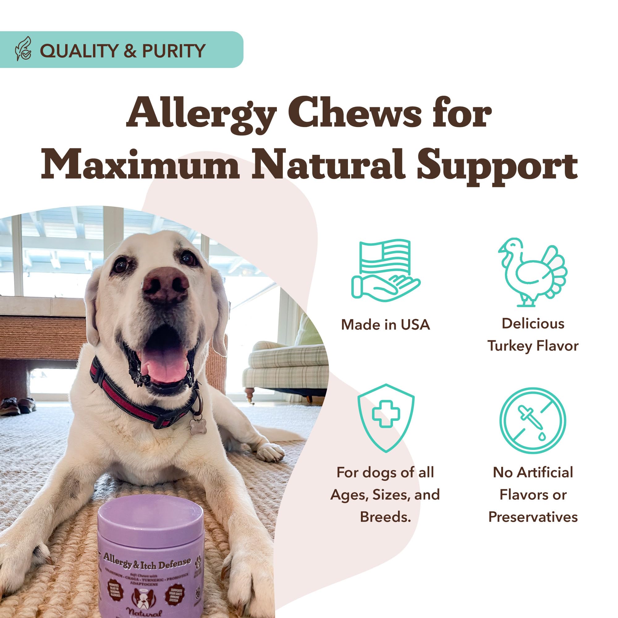 Natural Dog Company Allergy & Itch Defense Chews in a bowl highlighting grain-free formula