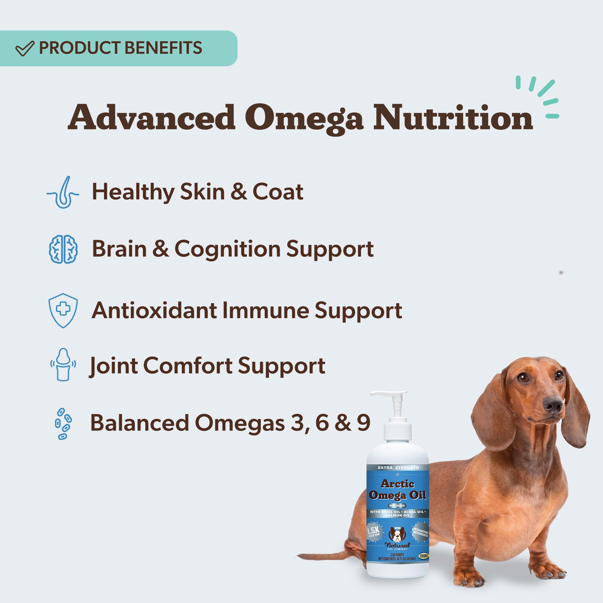 Natural Dog Company Arctic Omega Oil coat shine on dog's fur after daily use
