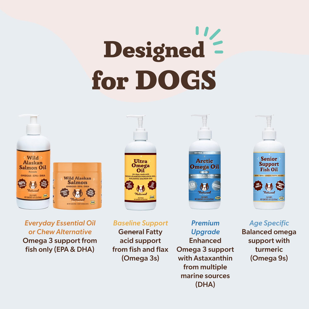 Natural Dog Company Arctic Omega Oil boosts immune wellness with DHA and astaxanthin