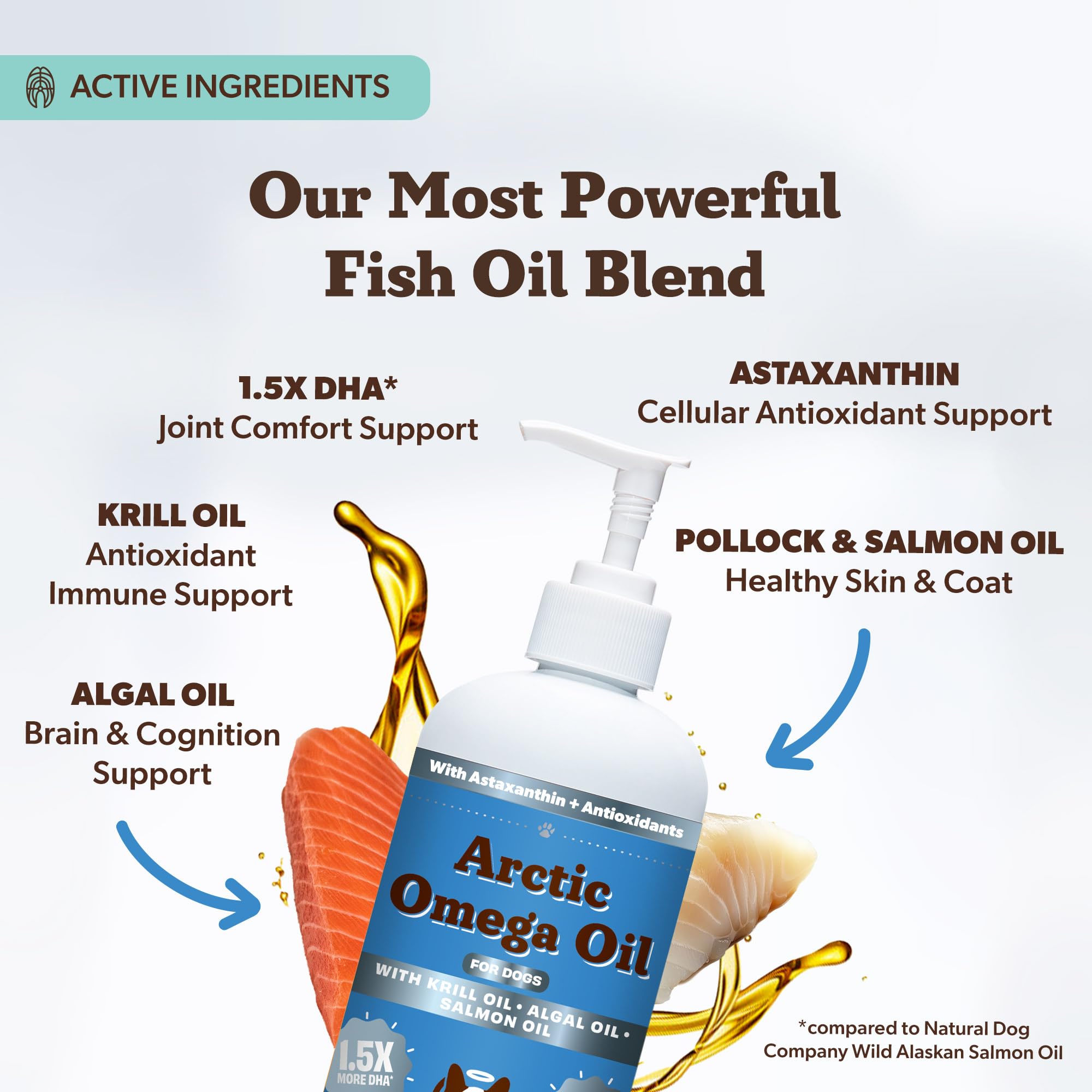 Natural Dog Company Arctic Omega Oil mixed with dog food for seamless meal integration