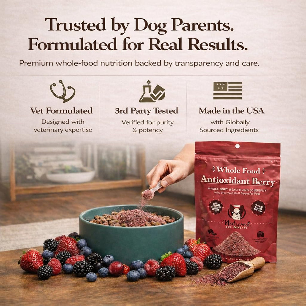 Natural Dog Company topper bowl with dog enjoying a meal