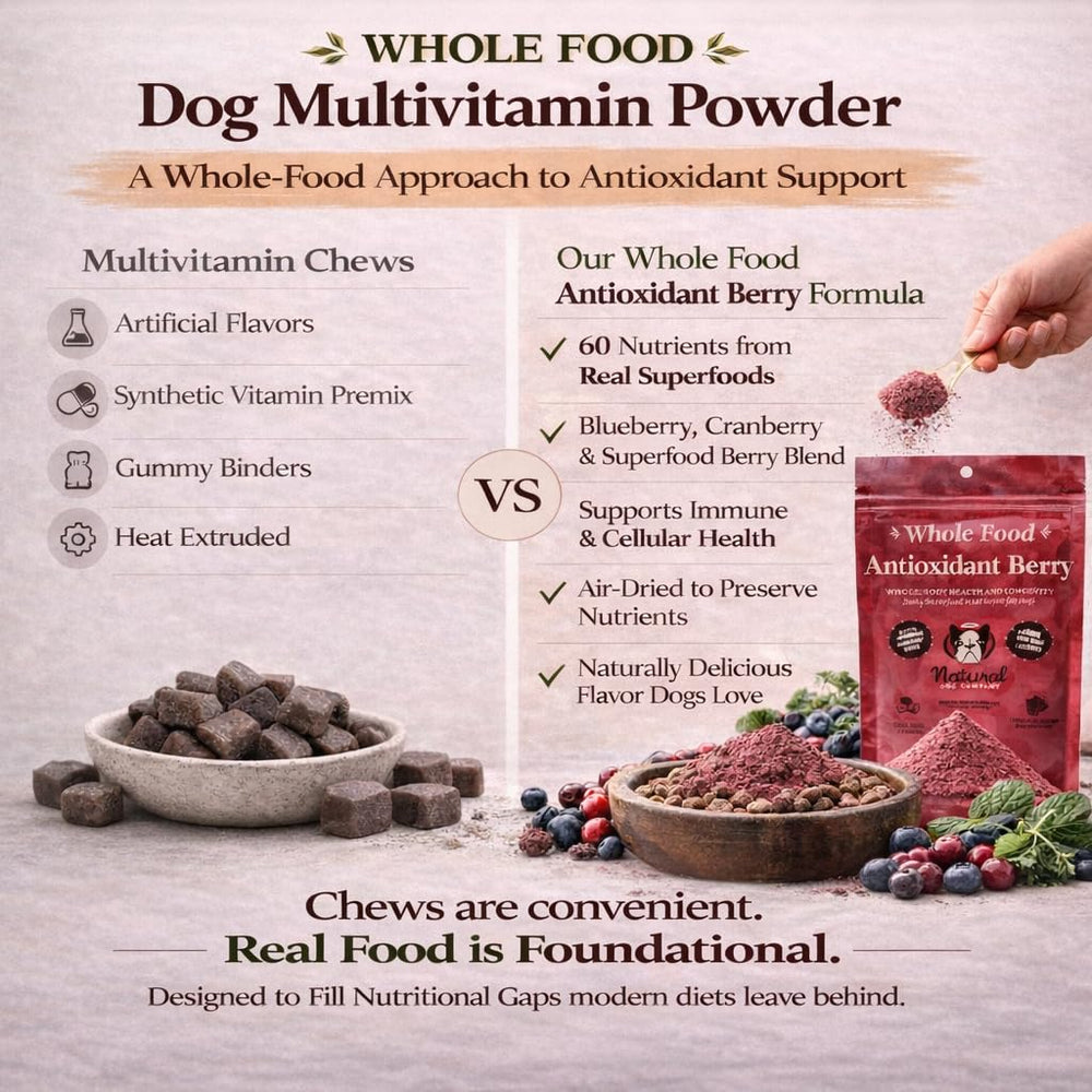 Natural Dog Company Berry Antioxidant Topper pour shows powder mixing into dog food for enhanced taste