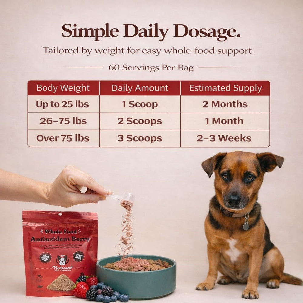 Natural Dog Company topper for senior dogs supporting daily vitality
