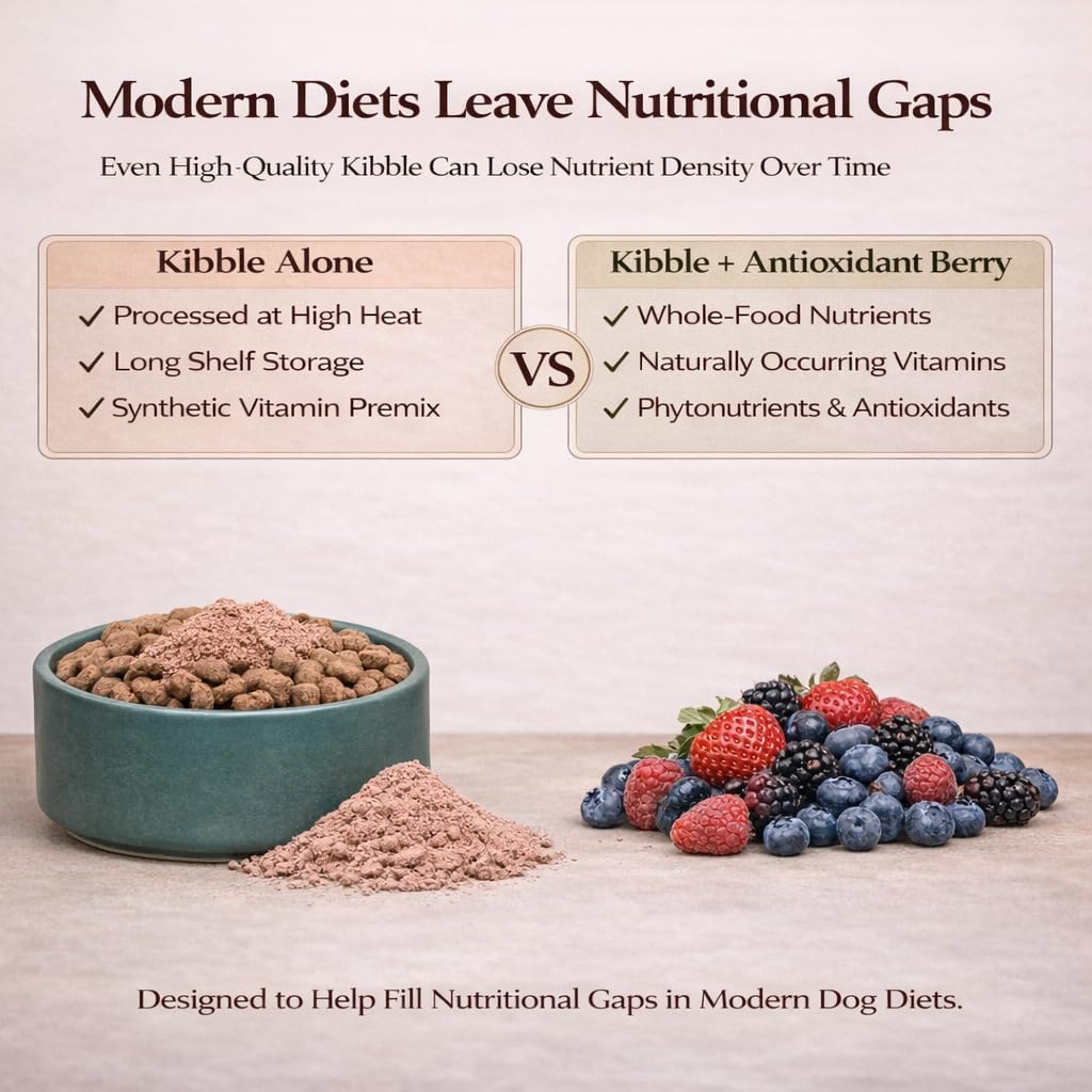 Natural Dog Company topper mixed with wet food improves aroma and appeal