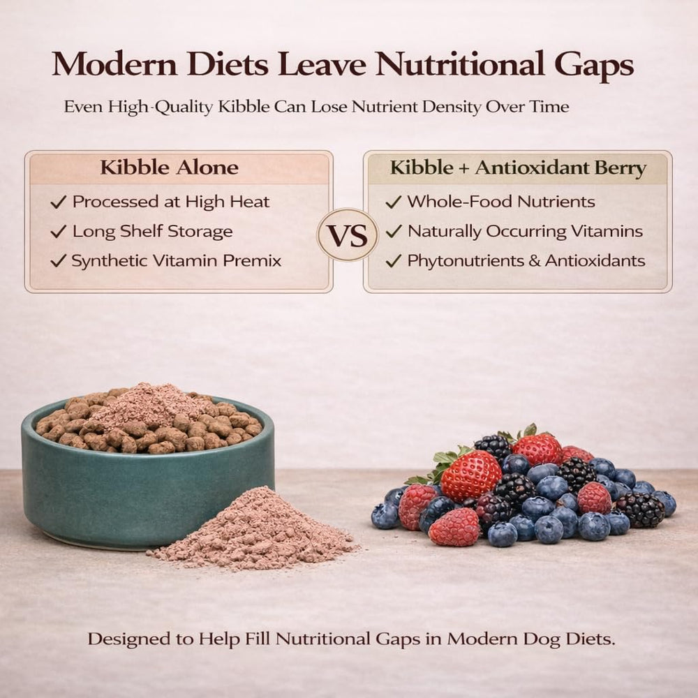 Natural Dog Company topper mixed with wet food improves aroma and appeal