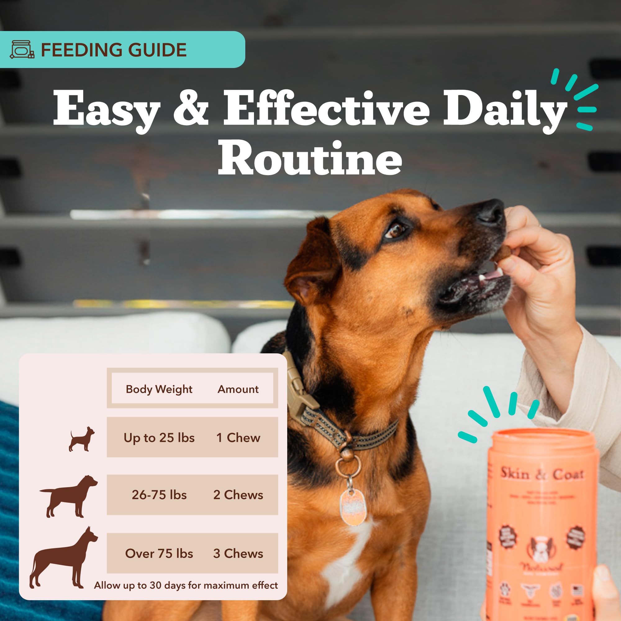 Natural Dog Company bottle on kitchen counter emphasizes value-size convenience