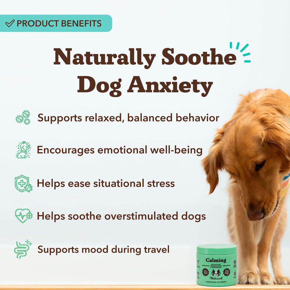 Natural Dog Company calming chews in peanut butter flavor, easing routine stress.