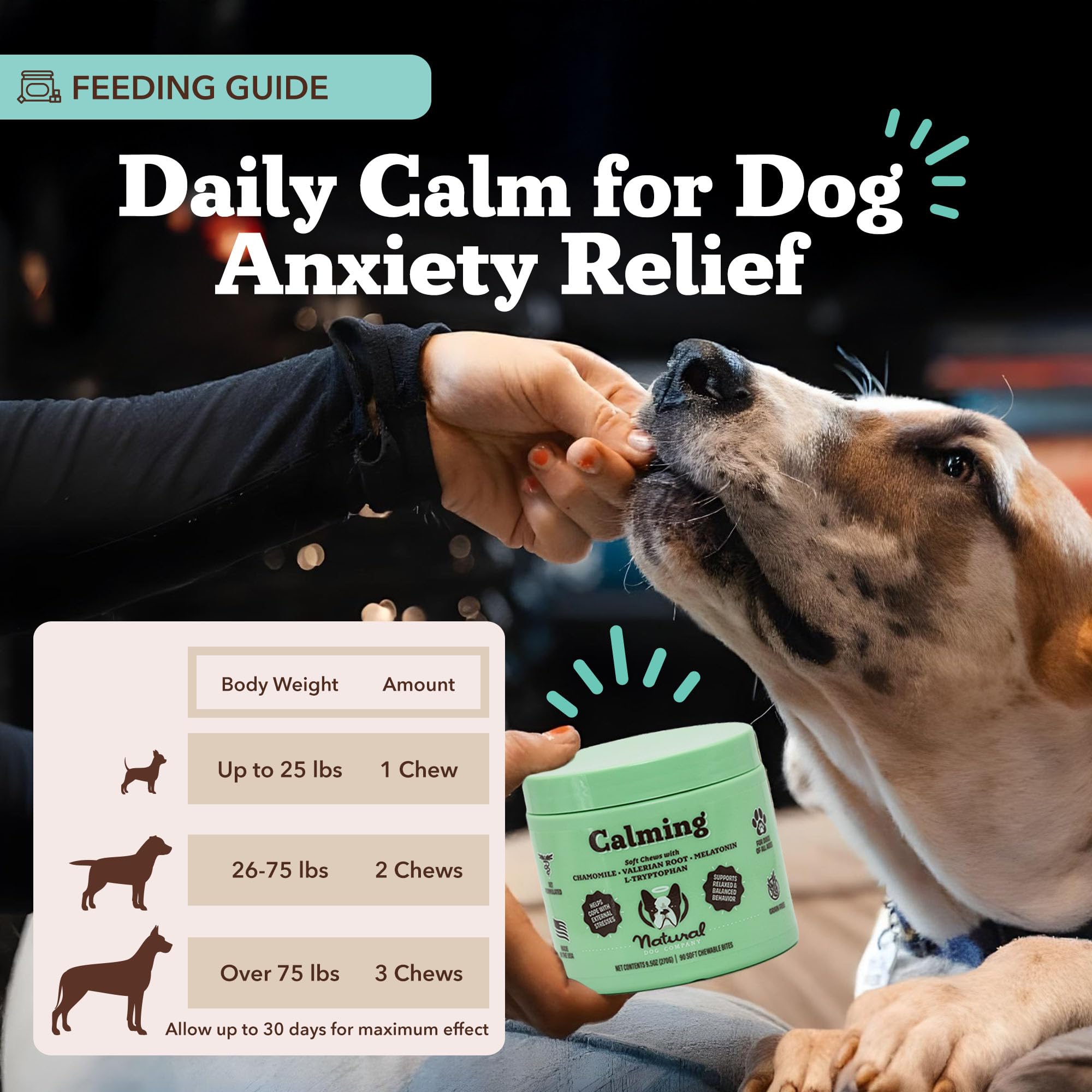 Dog at car window with Natural Dog Company calming chews travel scene for calmer rides.
