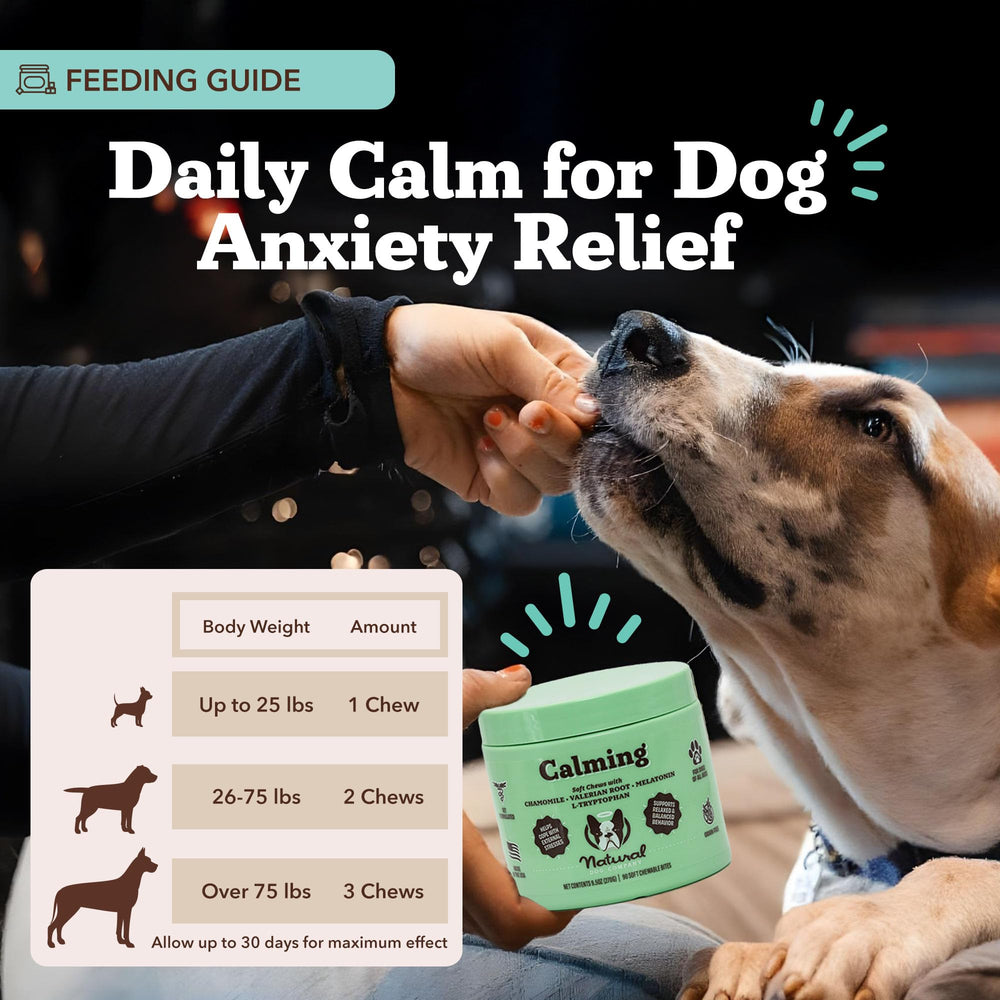 Dog at car window with Natural Dog Company calming chews travel scene for calmer rides.