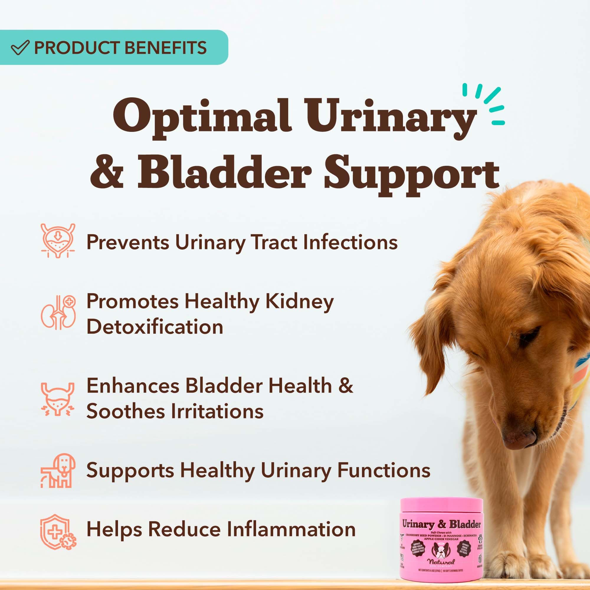 Natural Dog Company cranberry-d-mannose chews close-up highlighting urinary tract balance.