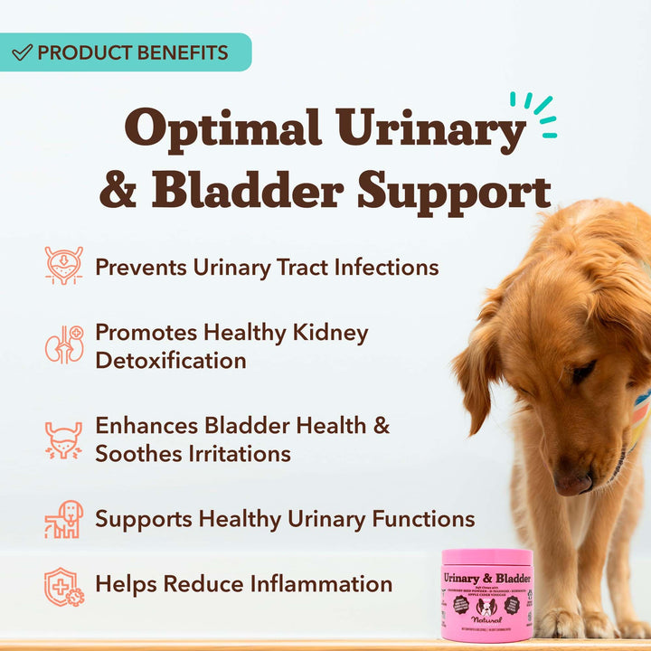 Natural Dog Company cranberry-d-mannose chews close-up highlighting urinary tract balance.