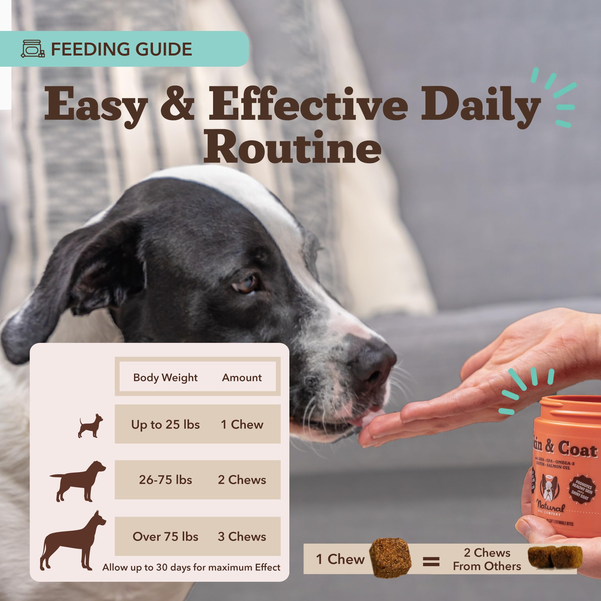 Natural Dog Company daily feeding setup with soft chews for easy dosing