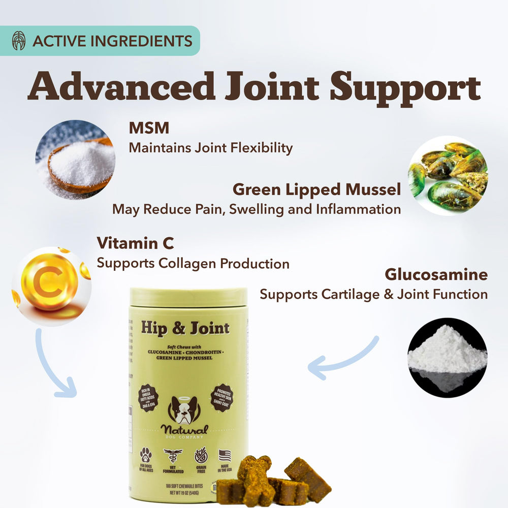 Daily use chews shown in everyday routine by Natural Dog Company.