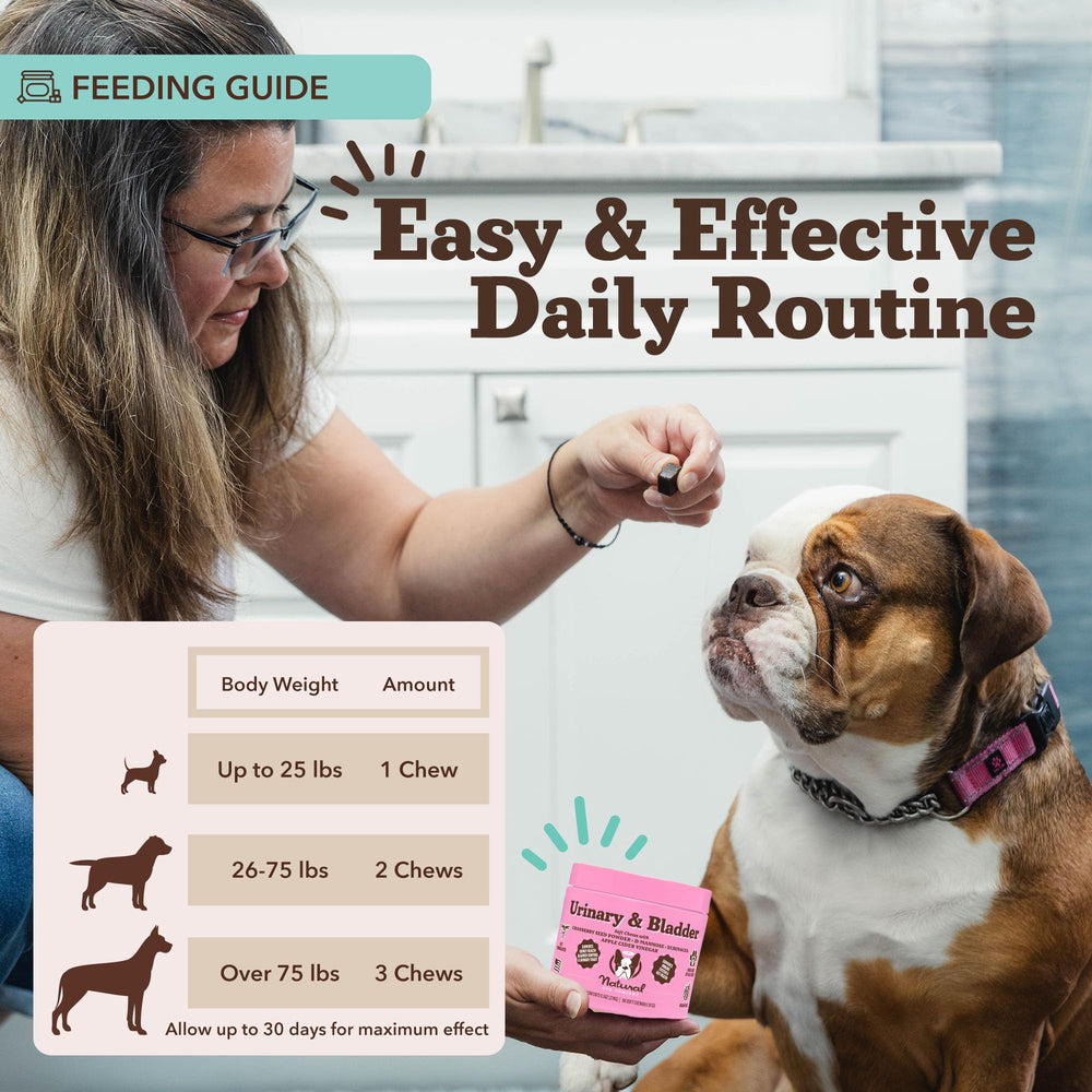 Natural Dog Company daily wellness routine graphic featuring soft chews.