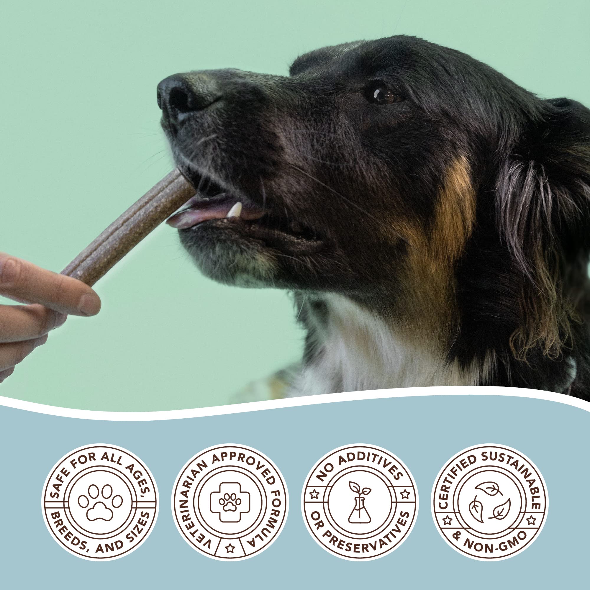 Natural Dog Company dental chews ingredients with coconut oil.