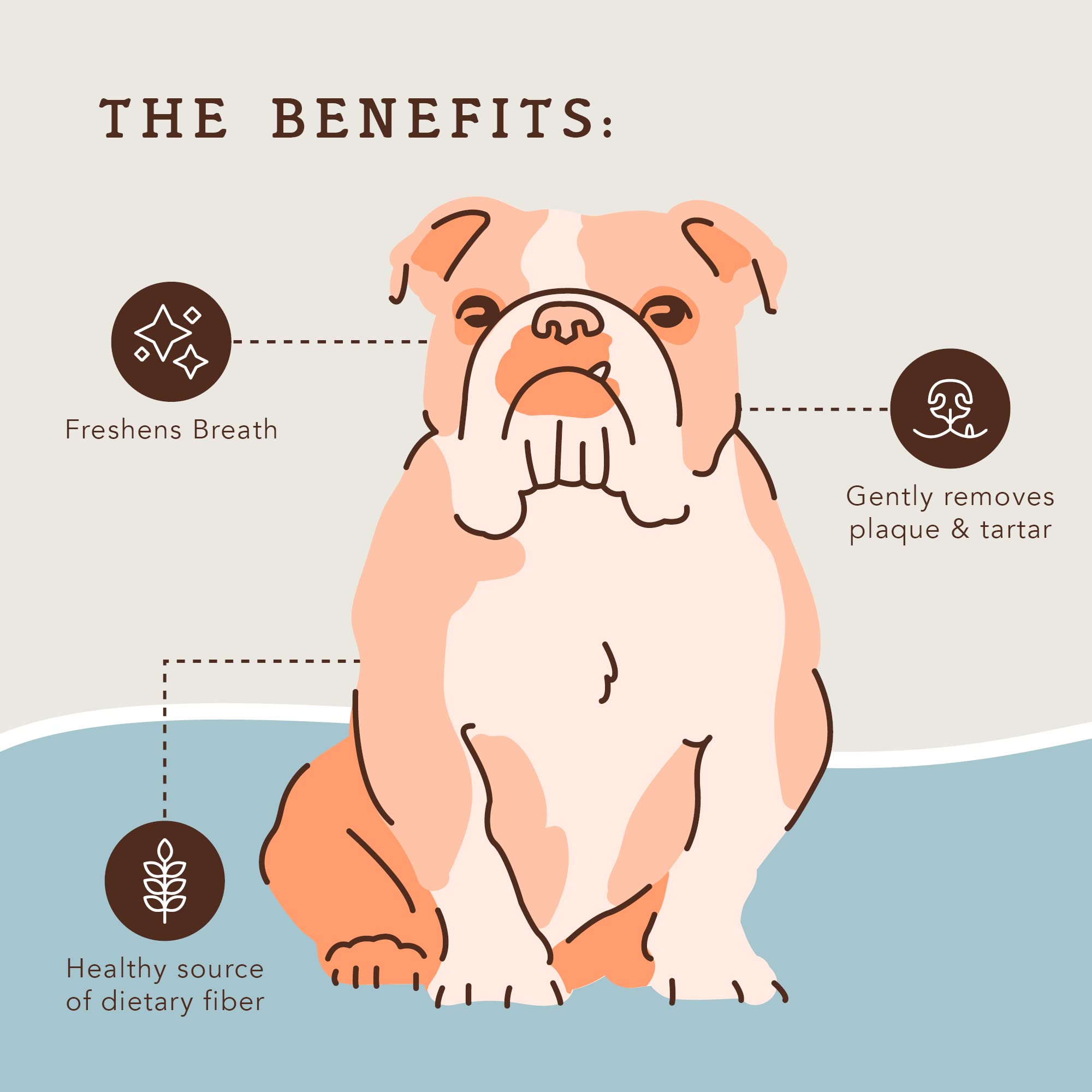 Natural Dog Company dental chews texture close-up for cleaner teeth.