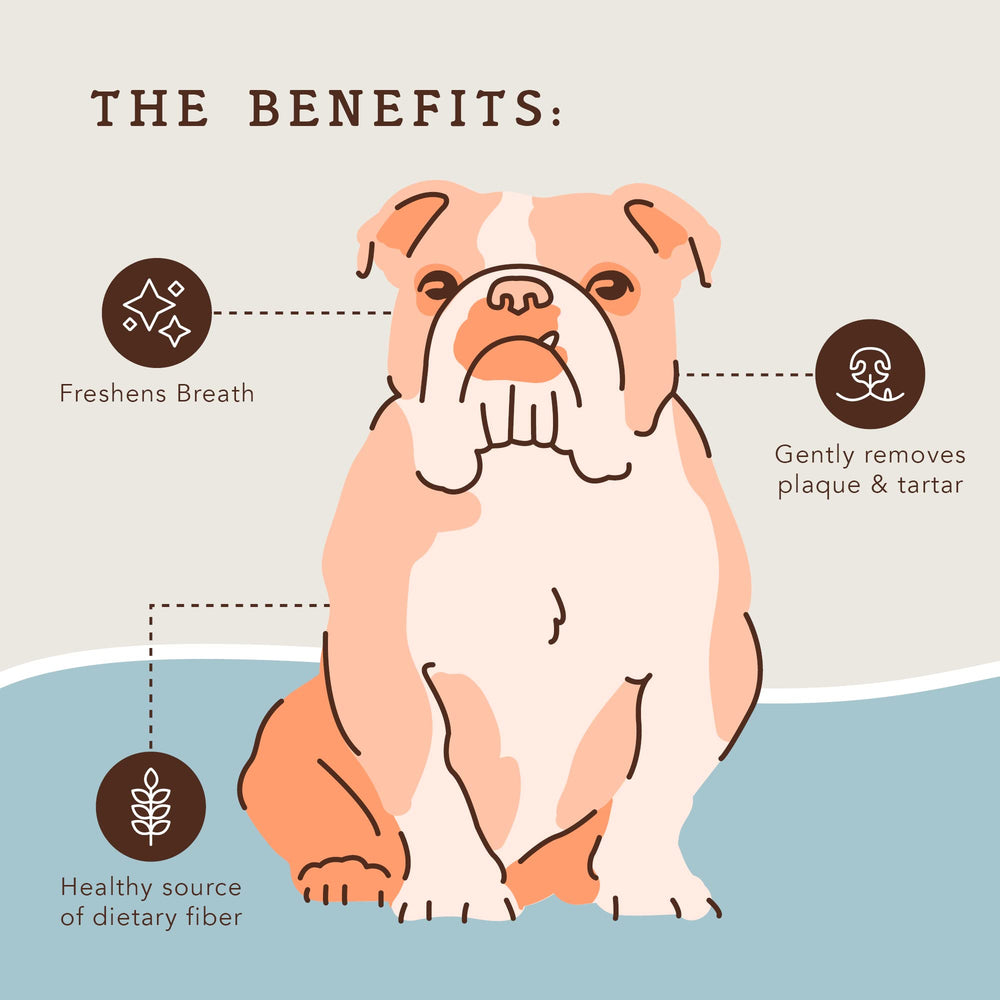 Natural Dog Company dental chews texture close-up for cleaner teeth.