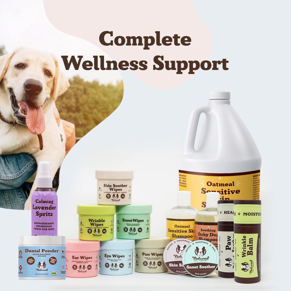 Simple daily use of Natural Dog Company dental powder
