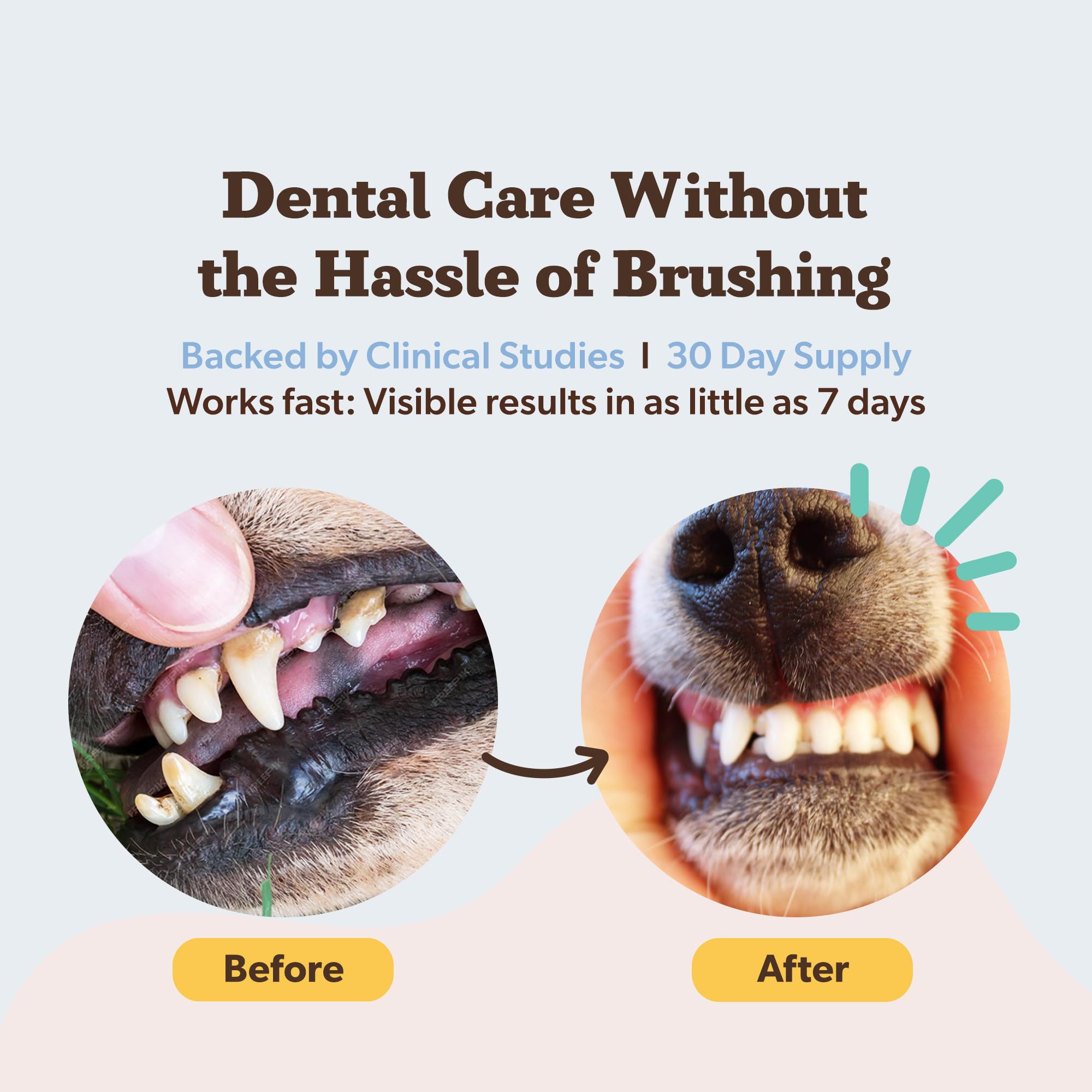 Dental powder reducing plaque and tartar for healthier teeth
