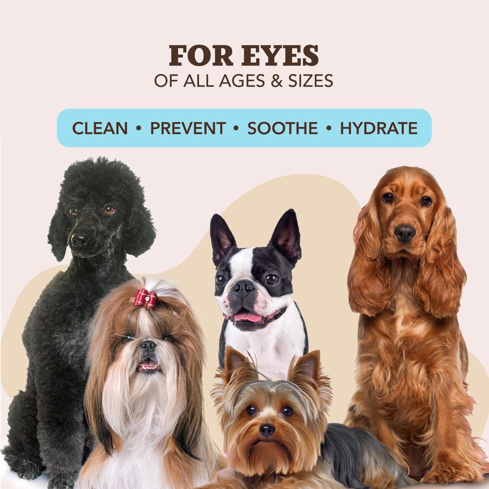 Natural Dog Company portable jar keeps wipes fresh for on-the-go grooming