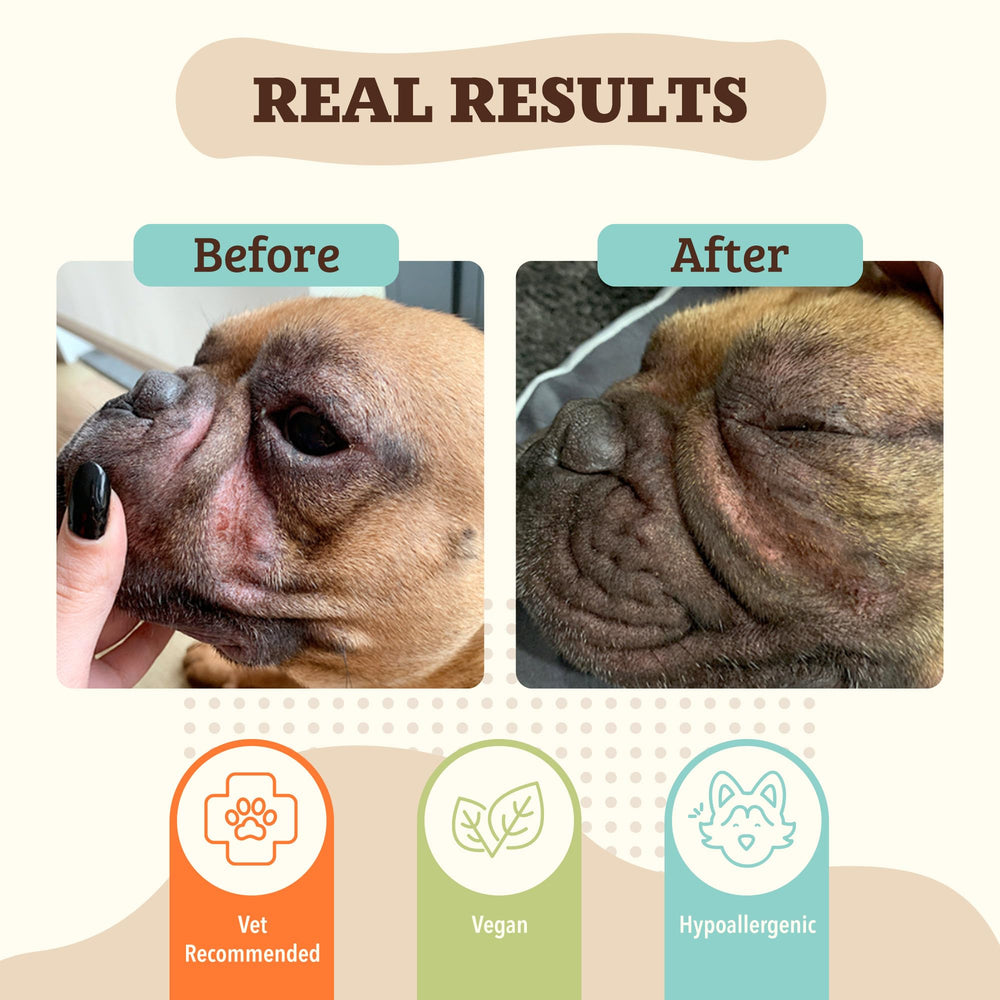 Natural Dog Company dog face folds being treated with gentle, plant-based moisturizing balm.