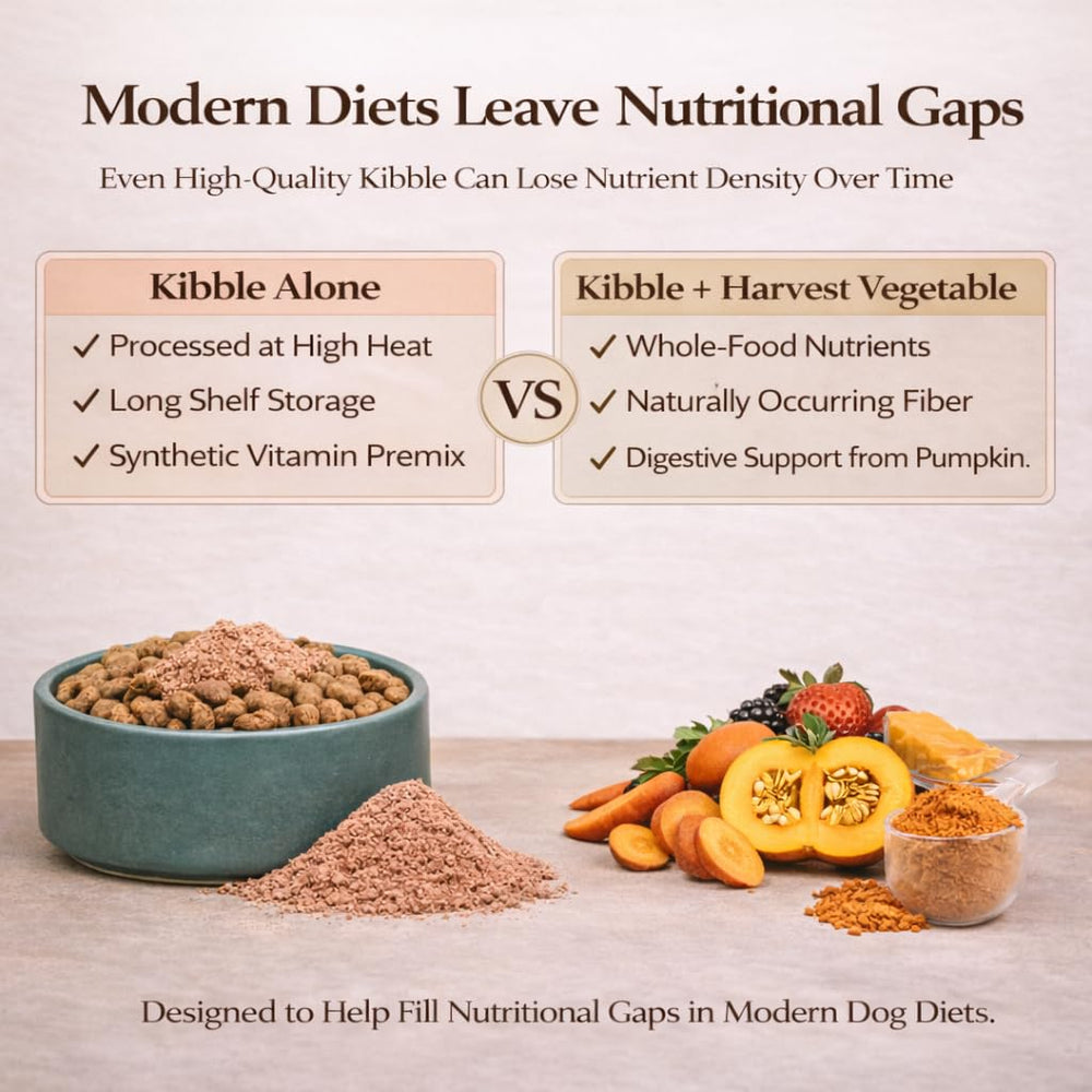 Natural Dog Company fish oil paired with granules for a complete nutrient boost.