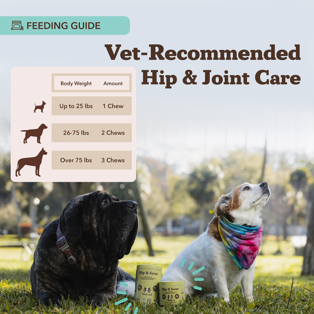 Natural Dog Company glucosamine chondroitin ingredients highlight joint support.