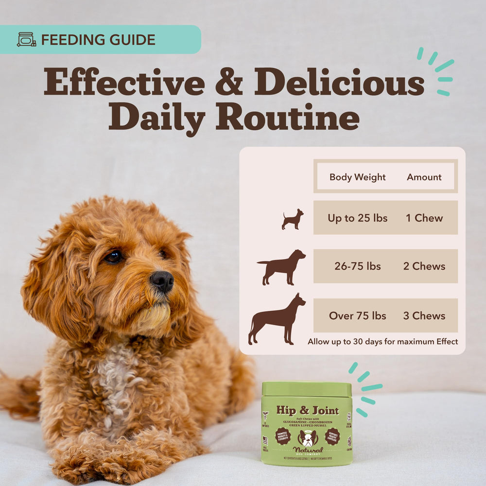 Natural Dog Company hip-joint chew in bowl shows convenient daily supplement.