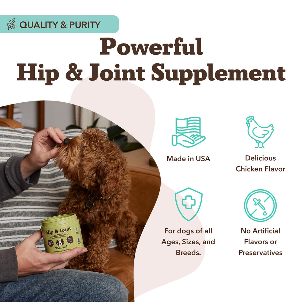 Natural Dog Company hip-joint chew close-up of soft texture for picky eaters.